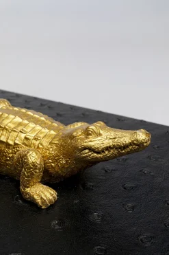 Box Crocodile Schwarz (2/Set)