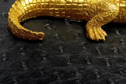 Box Crocodile Schwarz (2/Set)