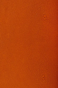 Box Noah Orange (3/Set)