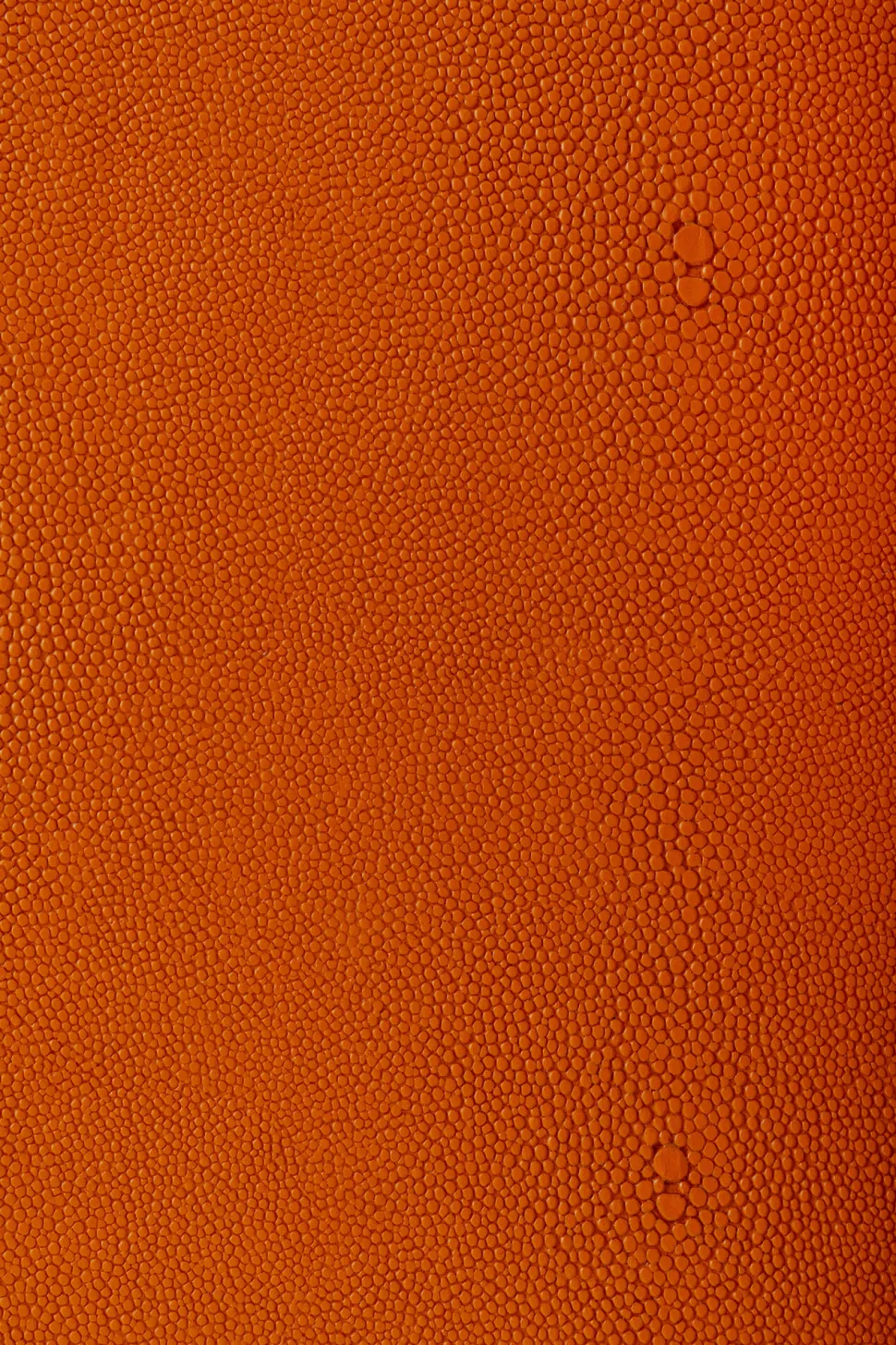 Box Noah Orange (3/Set)