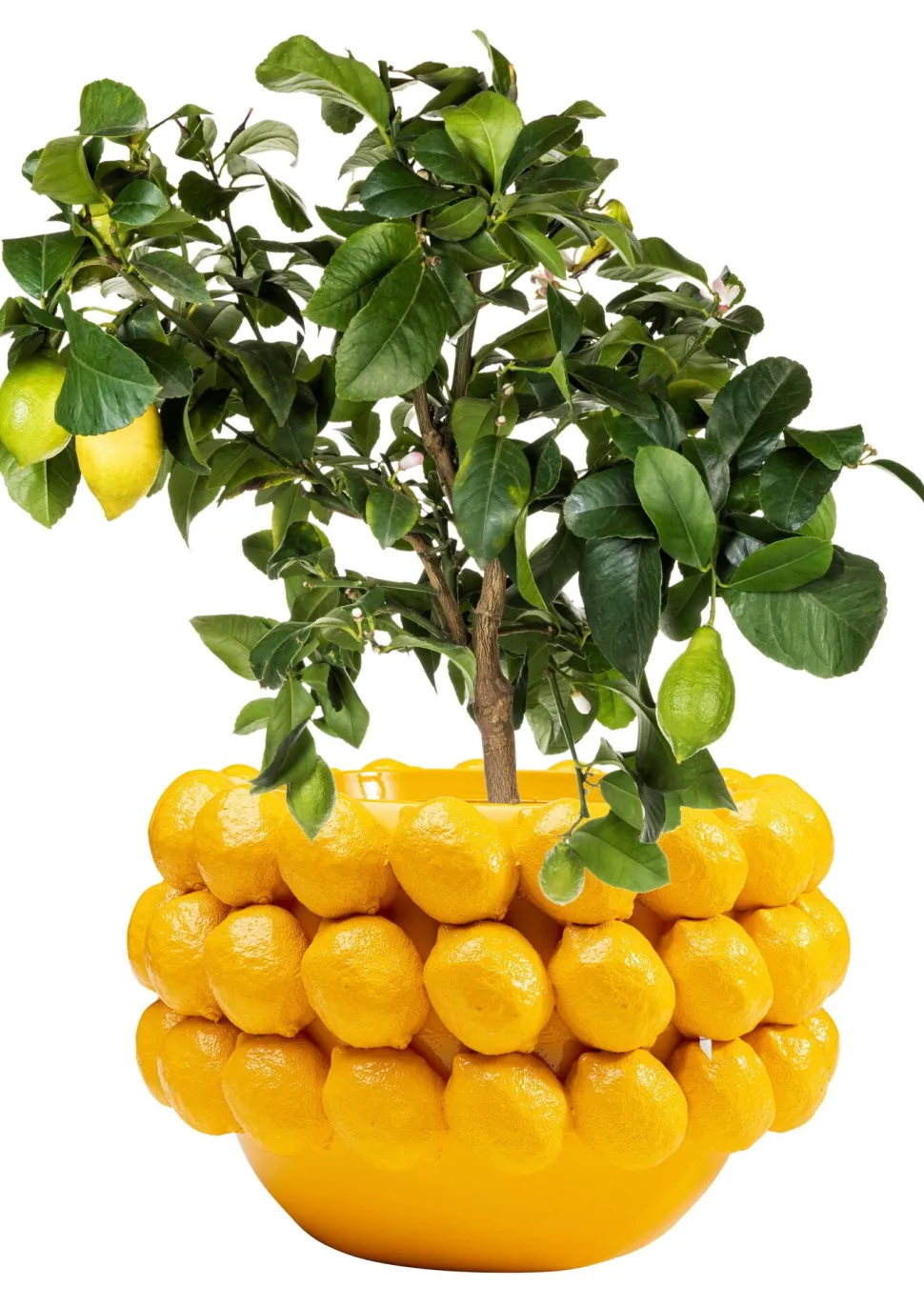 Deko Übertopf Lemon Juice 22cm