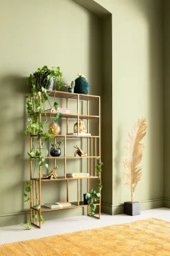 Deko Dose Chameleon 34