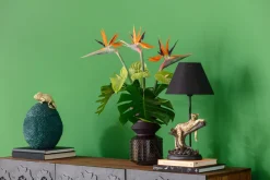 Deko Dose Chameleon 34