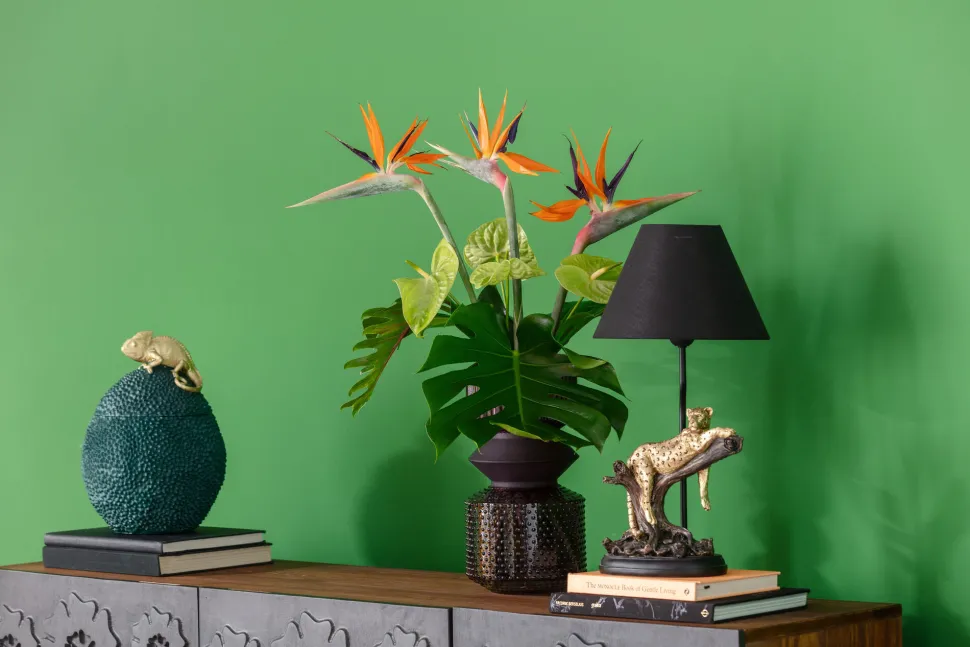 Deko Dose Chameleon 34