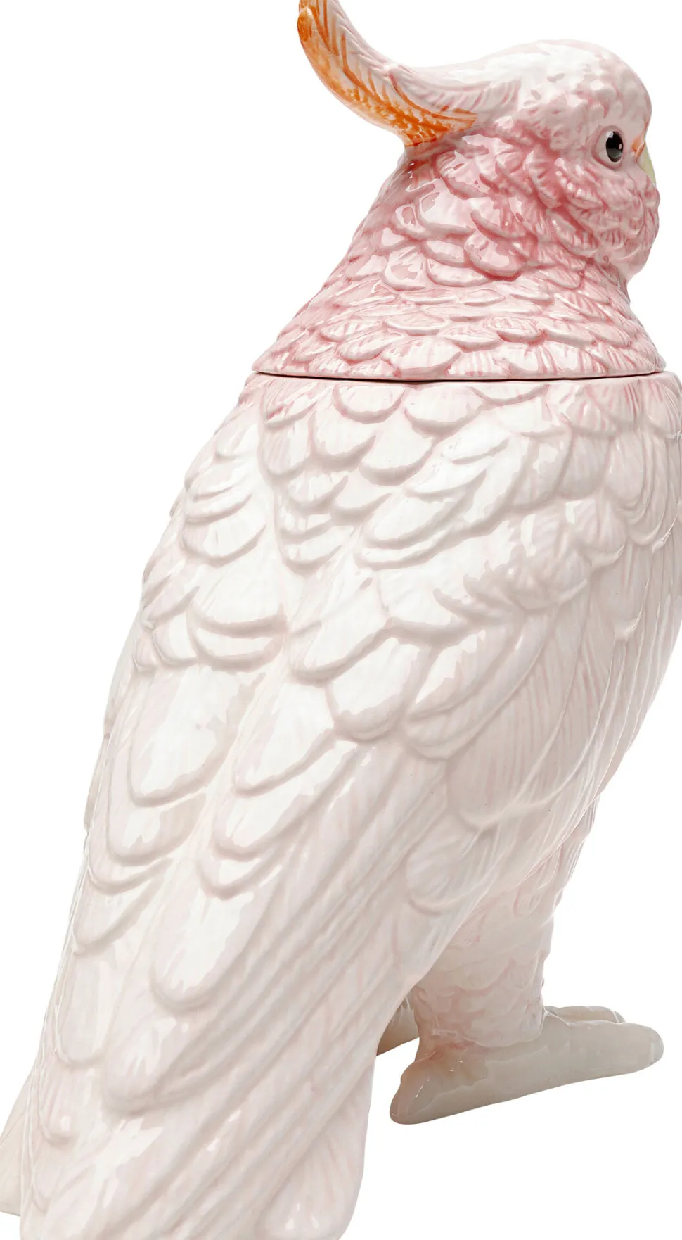 Deko Dose Exotic Bird 23cm