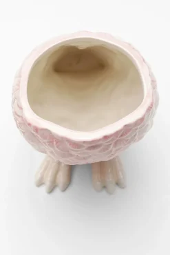 Deko Dose Exotic Bird 23cm