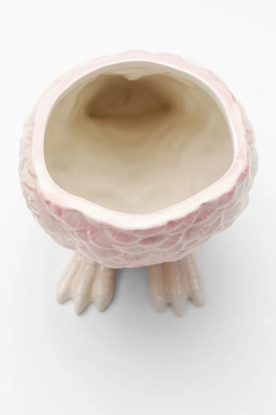 Deko Dose Exotic Bird 23cm