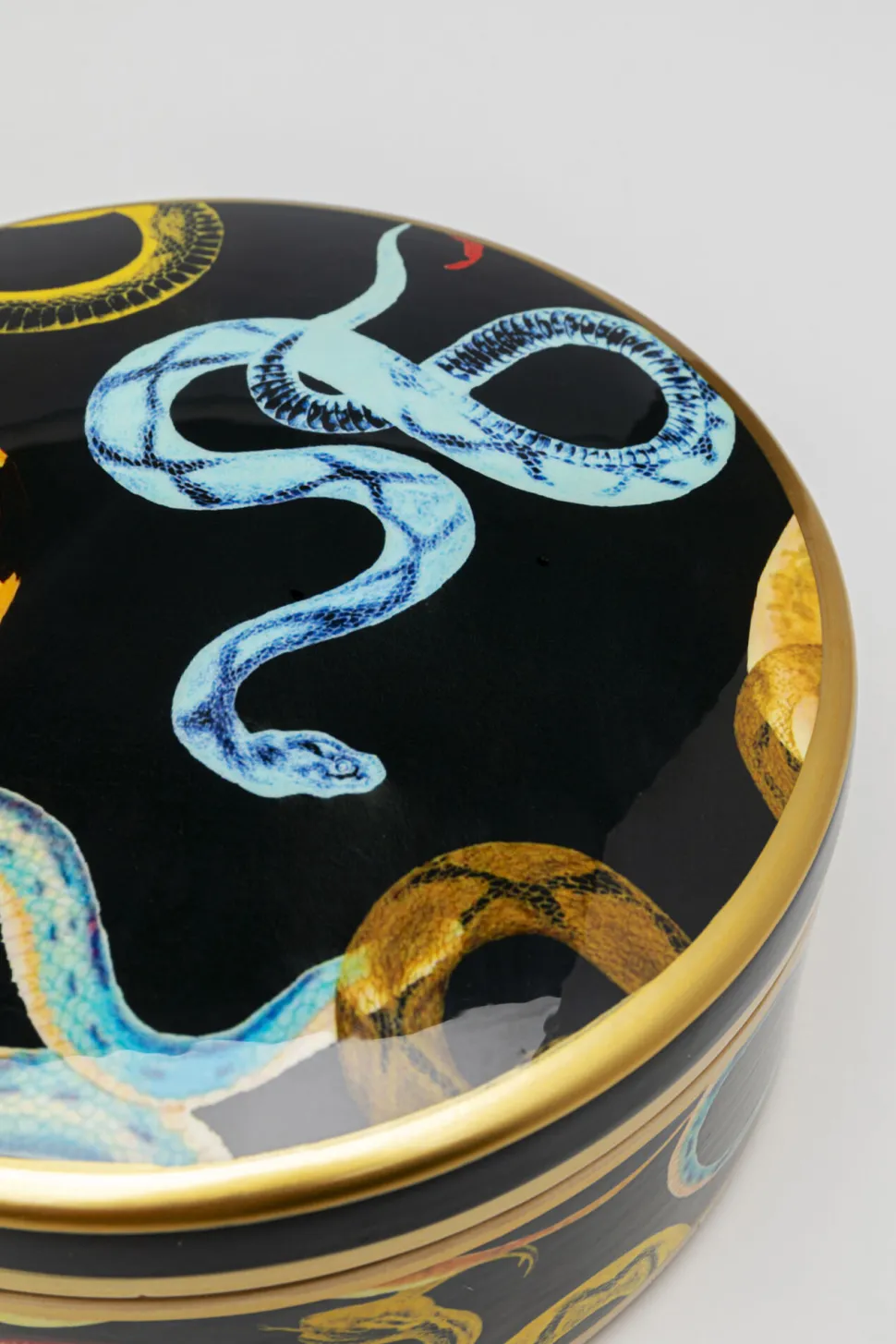 Deko Dose Snake Party Ø19cm