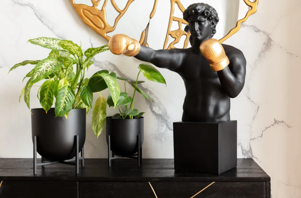 Deko Objekt Balboa 68cm