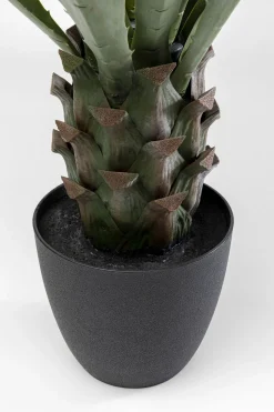 Deko Pflanze Agave 85cm