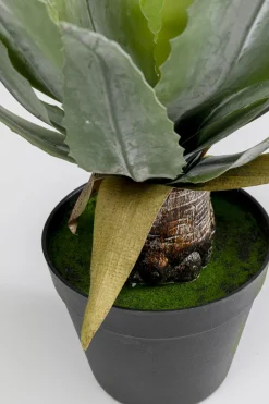 Deko Pflanze Agave 40cm