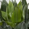 Deko Pflanze Agave 120cm