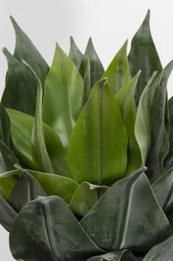 Deko Pflanze Agave 120cm