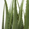 Deko Pflanze Aloe 69cm