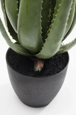 Deko Pflanze Aloe 69cm