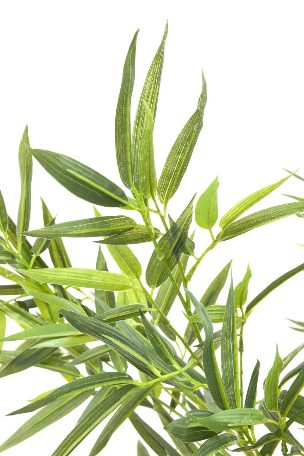 Deko Pflanze Bamboo Tree 200cm