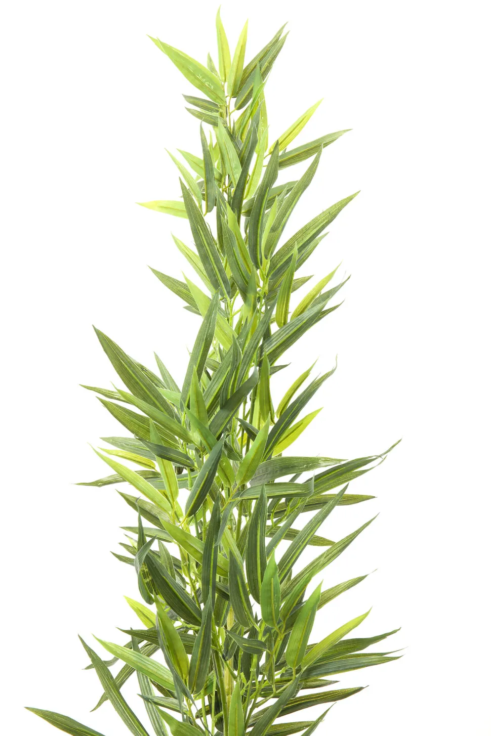 Deko Pflanze Bamboo Tree 200cm