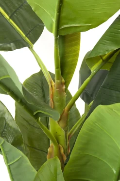 Deko Pflanze Banana Tree 180cm