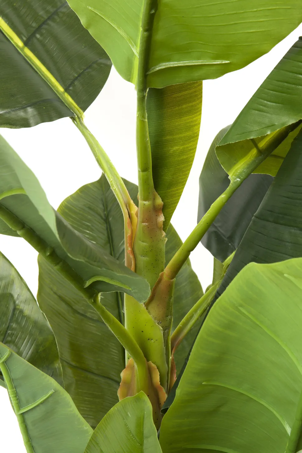 Deko Pflanze Banana Tree 180cm