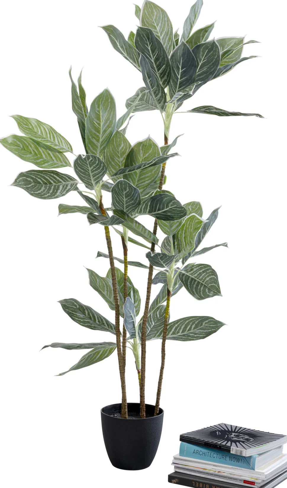 Deko Pflanze Calathea 140cm