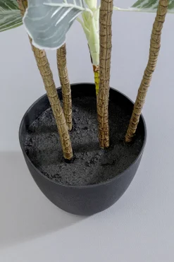 Deko Pflanze Calathea 140cm