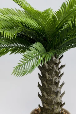Deko Pflanze Cycas 70cm