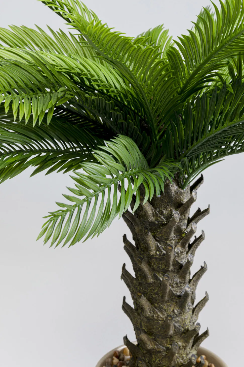 Deko Pflanze Cycas 70cm