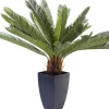 Deko Pflanze Cycas Tree 78cm