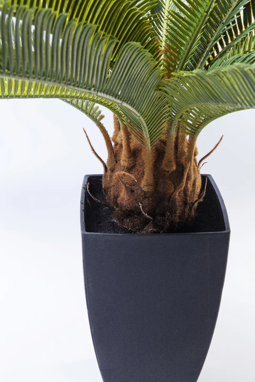 Deko Pflanze Cycas Tree 78cm