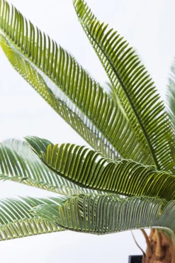Deko Pflanze Cycas Tree 78cm