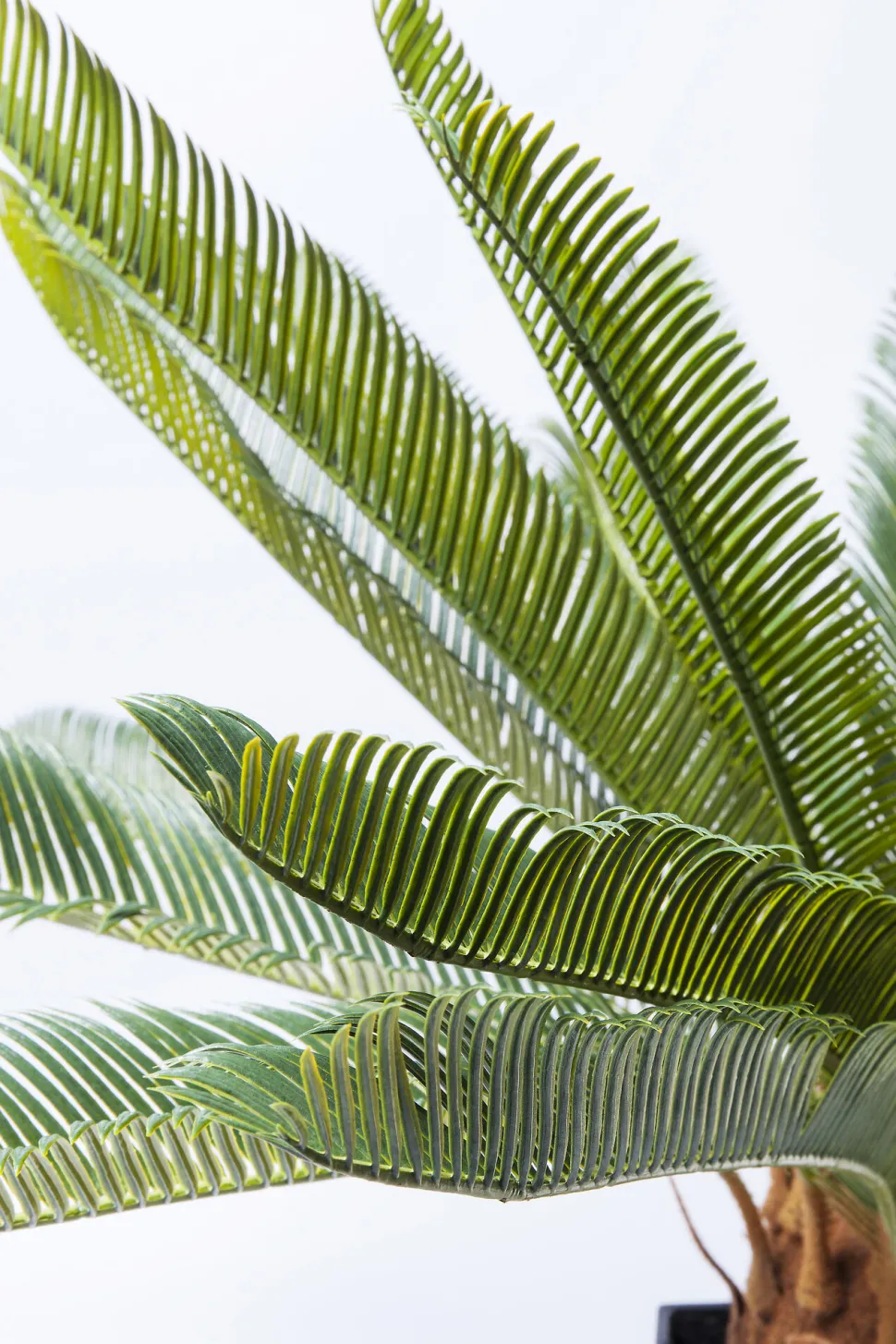 Deko Pflanze Cycas Tree 78cm