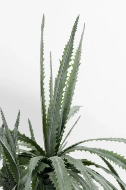 Deko Pflanze Dragon Tree 155cm