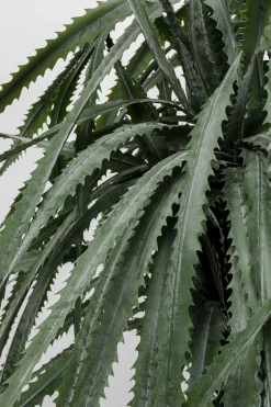 Deko Pflanze Dragon Tree 155cm