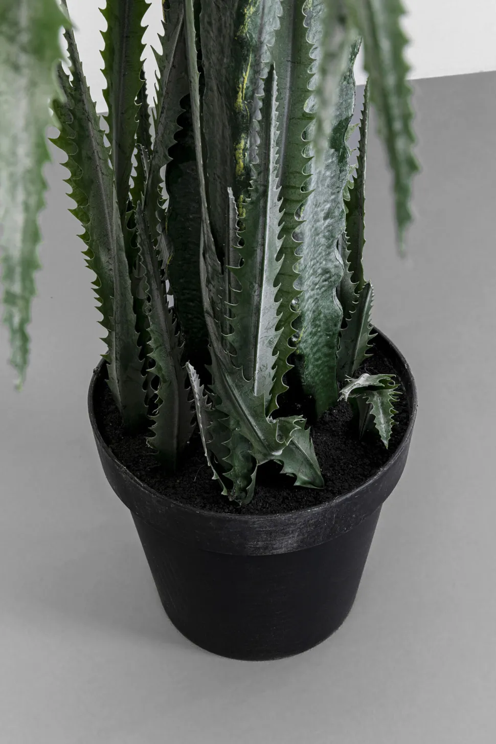 Deko Pflanze Dragon Tree 155cm