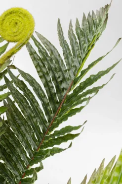 Deko Pflanze Farn 55cm