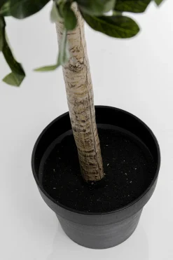 Deko Pflanze Olive Tree 120cm