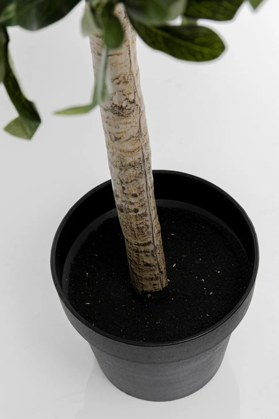 Deko Pflanze Olive Tree 120cm