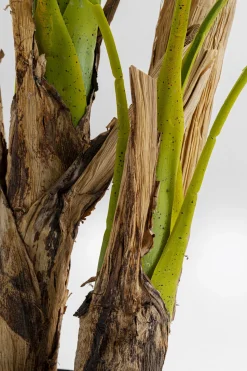 Deko Pflanze Palm Tree 190cm