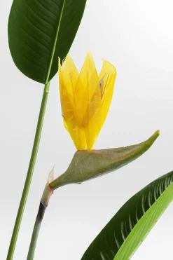 Deko Pflanze Paradise Flowers 190cm