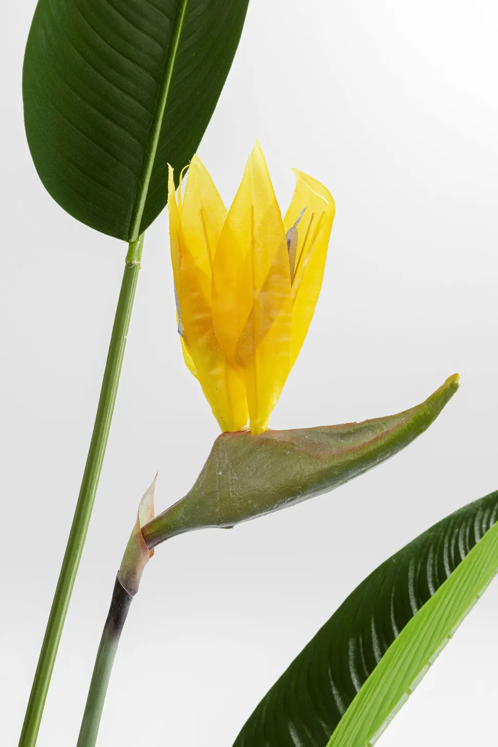 Deko Pflanze Paradise Flowers 190cm