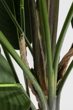 Deko Pflanze Paradise Flowers 190cm