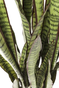 Deko Pflanze Sansewieria 155cm