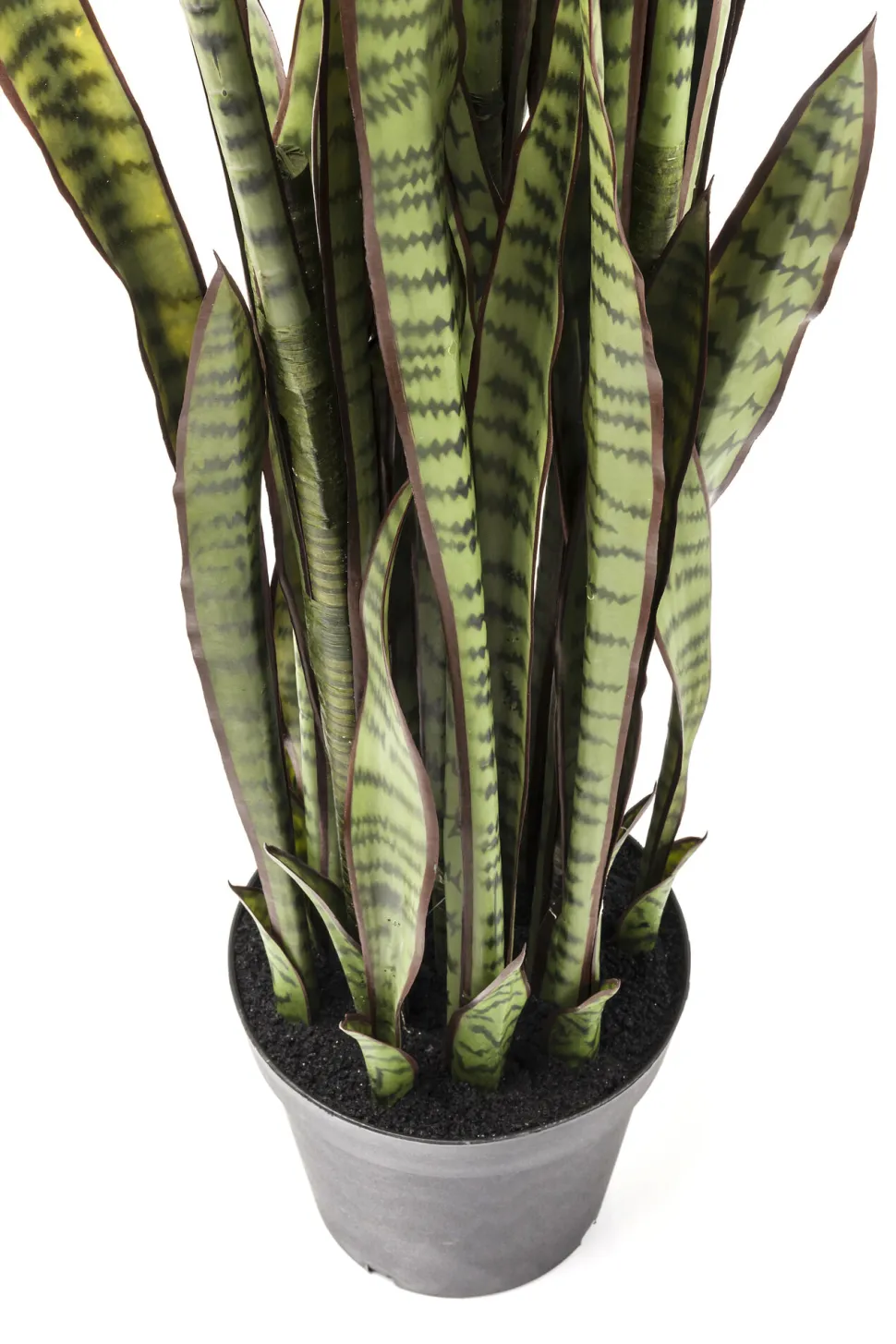 Deko Pflanze Sansewieria 155cm