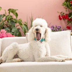 Ecksofa Infinity Ottomane Creme Links