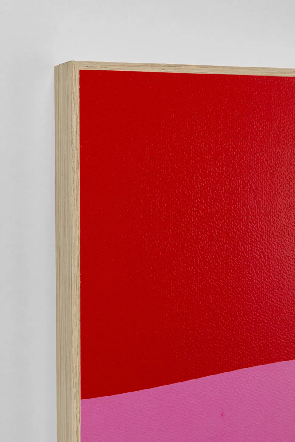 Gerahmtes Bild Dog Frankie (2/Set)