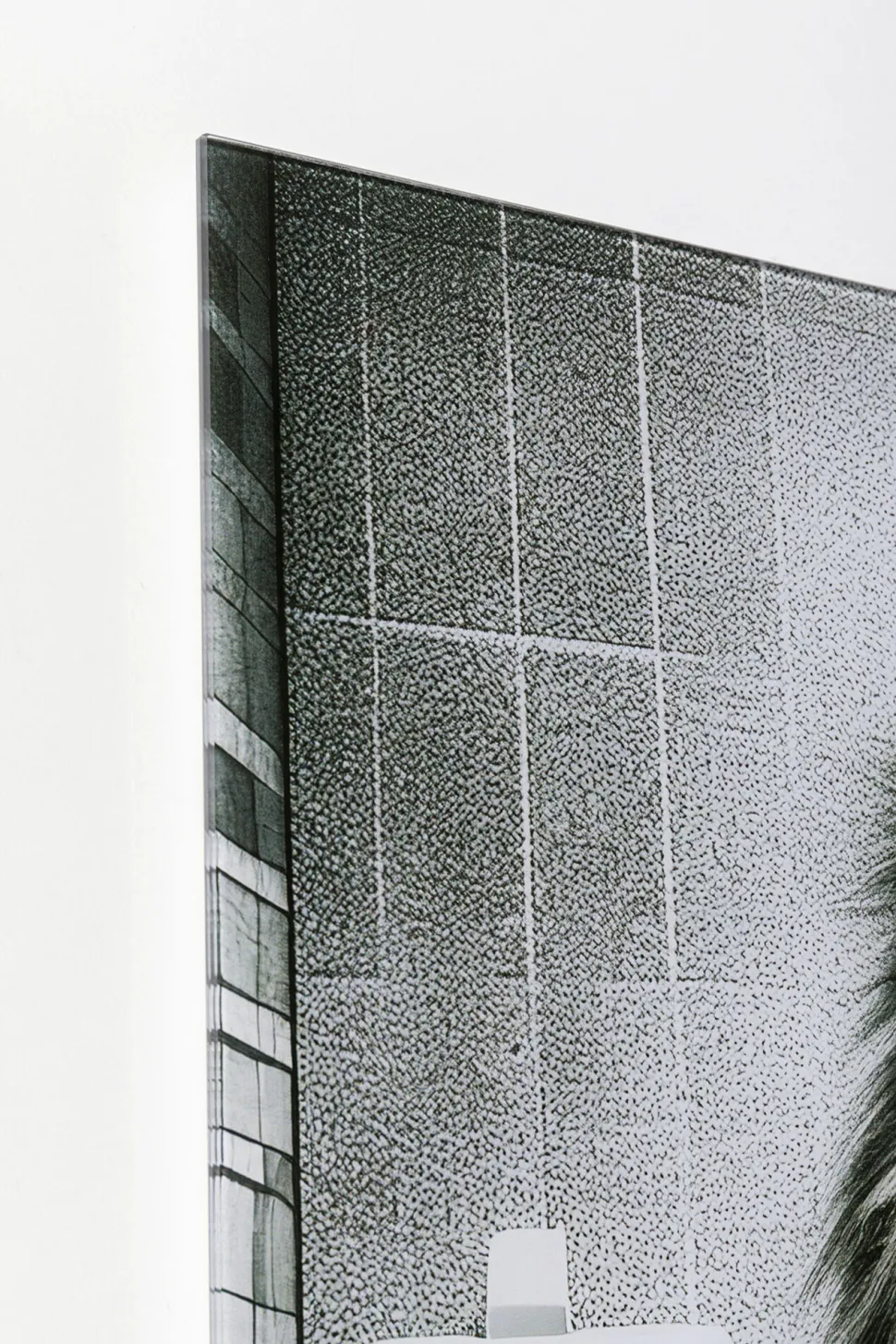 Glasbild Bath Lion 60x80cm