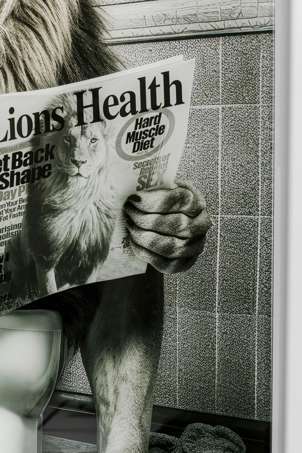 Glasbild Bath Lion 60x80cm