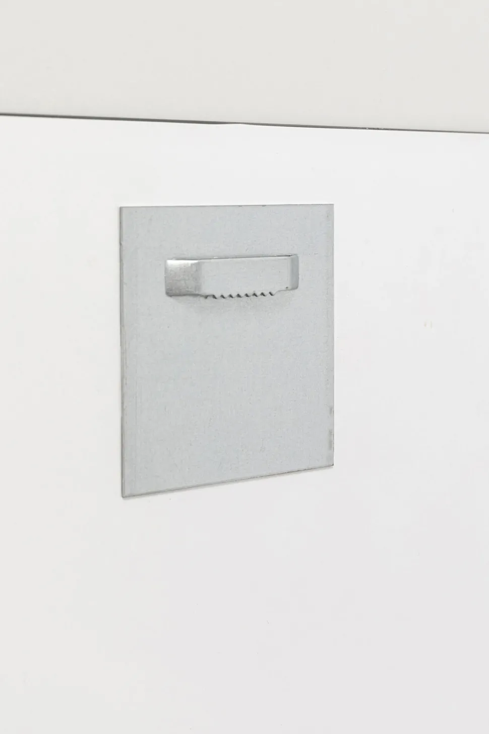 Glasbild Fashion Dog 60x80cm