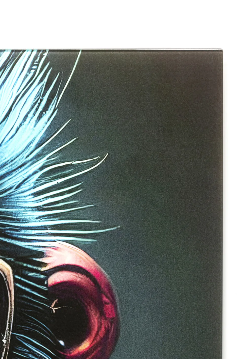 Glasbild Fashion Gorilla 60x80cm