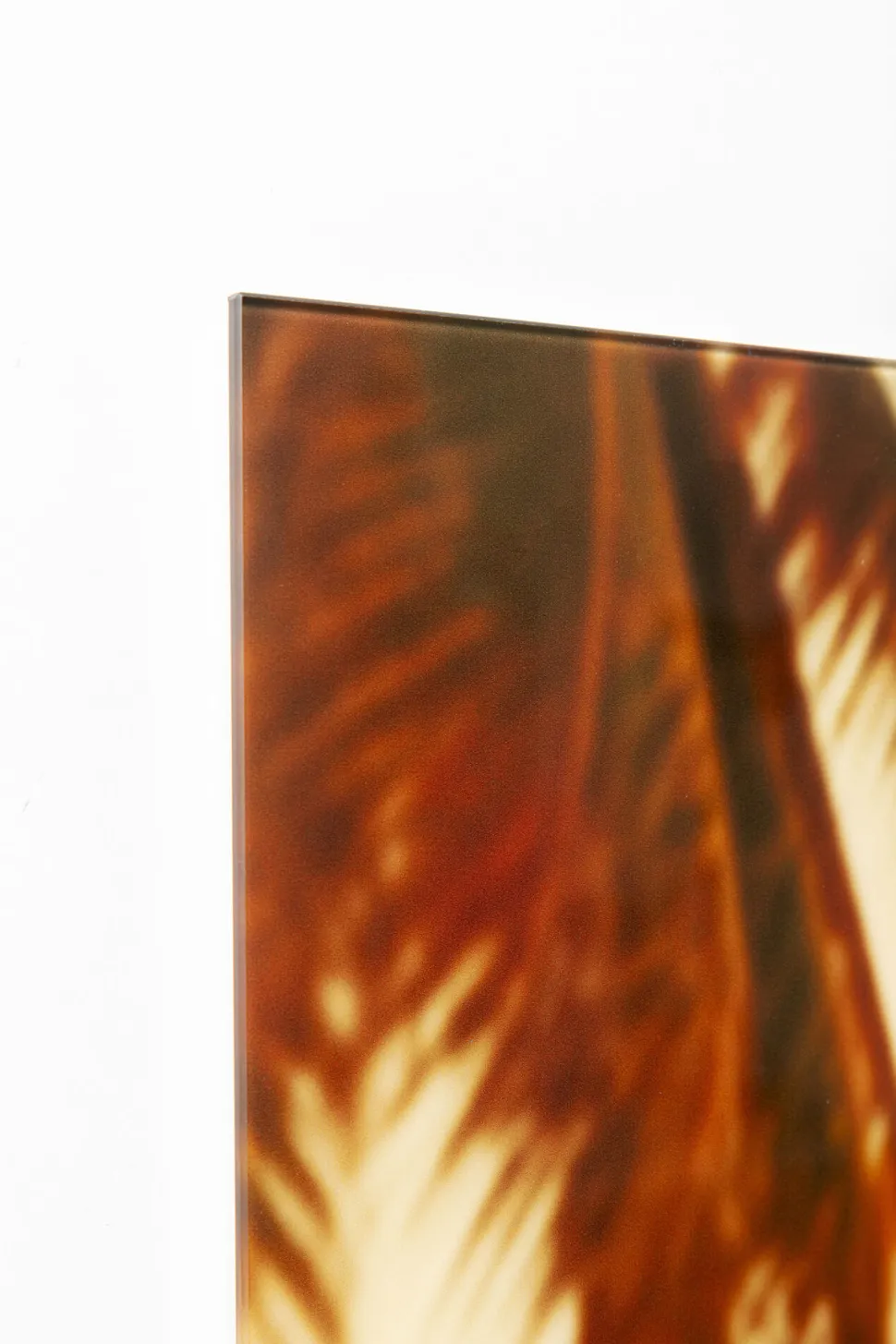 Glasbild Holiday Monkey 80x60cm